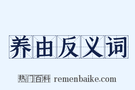 养由反义词是什么意思的图片